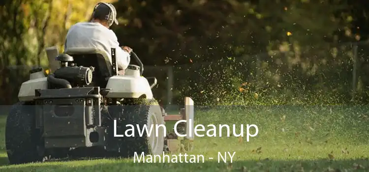  Lawn Cleanup Manhattan - NY