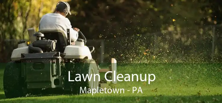 Lawn Cleanup Mapletown - PA