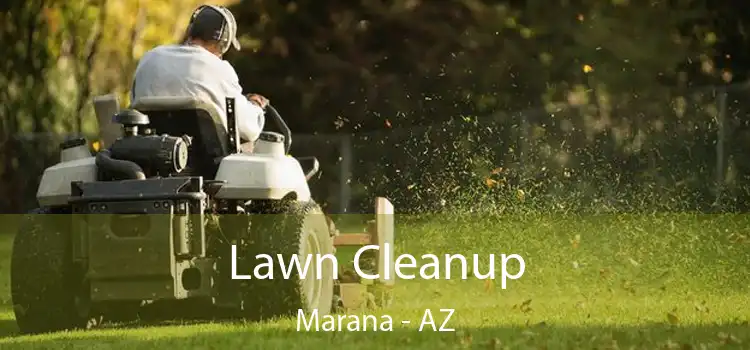 Lawn Cleanup Marana - AZ