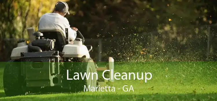 Lawn Cleanup Marietta - GA