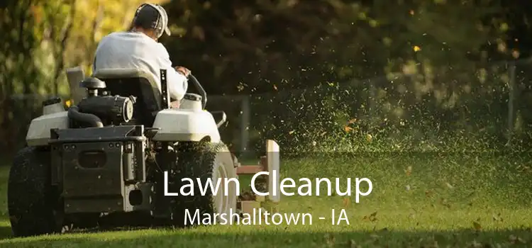 Lawn Cleanup Marshalltown - IA