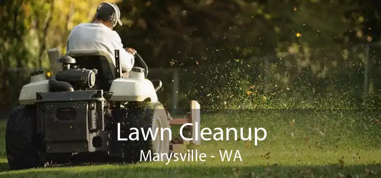 Lawn Cleanup Marysville - WA
