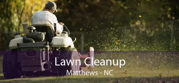 Lawn Cleanup Matthews - NC
