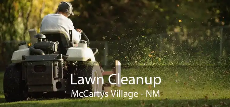 Lawn Cleanup McCartys Village - NM
