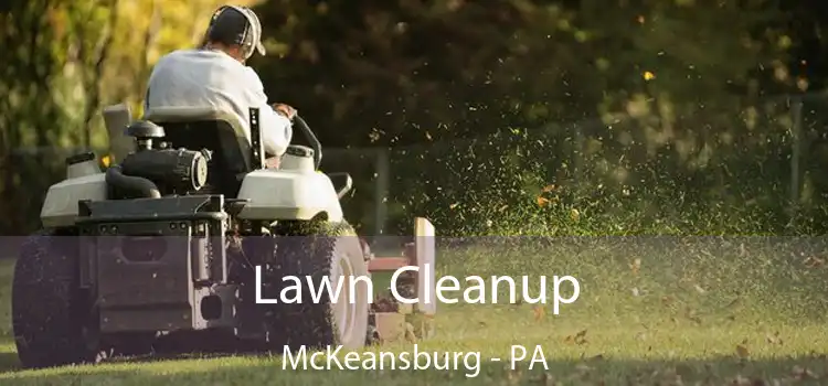 Lawn Cleanup McKeansburg - PA