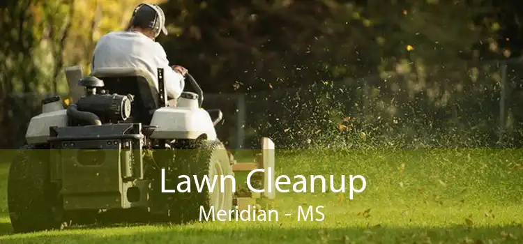 Lawn Cleanup Meridian - MS