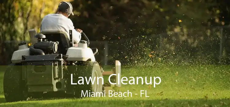 Lawn Cleanup Miami Beach - FL