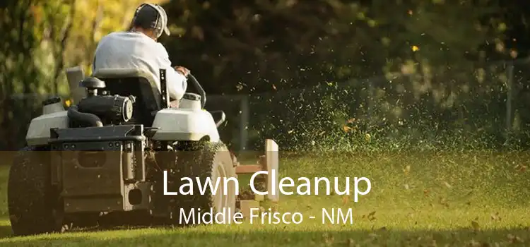 Lawn Cleanup Middle Frisco - NM