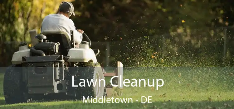 Lawn Cleanup Middletown - DE