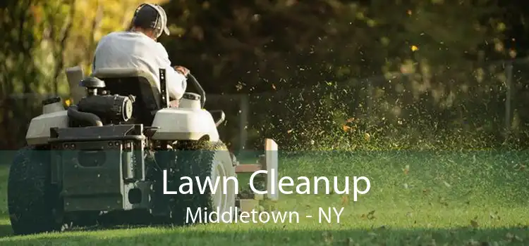 Lawn Cleanup Middletown - NY