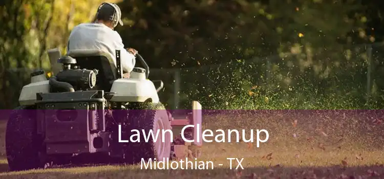  Lawn Cleanup Midlothian - TX