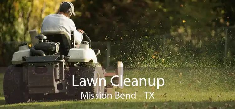 Lawn Cleanup Mission Bend - TX