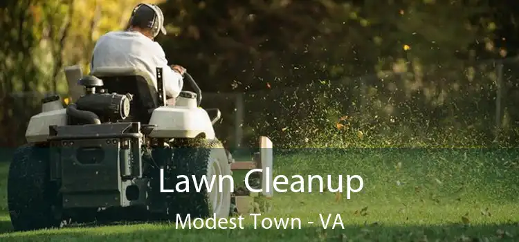 Lawn Cleanup Modest Town - VA