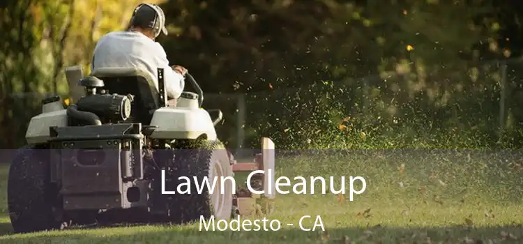 Lawn Cleanup Modesto - CA