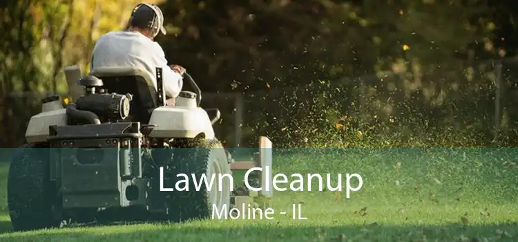 Lawn Cleanup Moline - IL