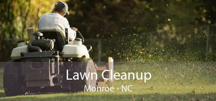 Lawn Cleanup Monroe - NC