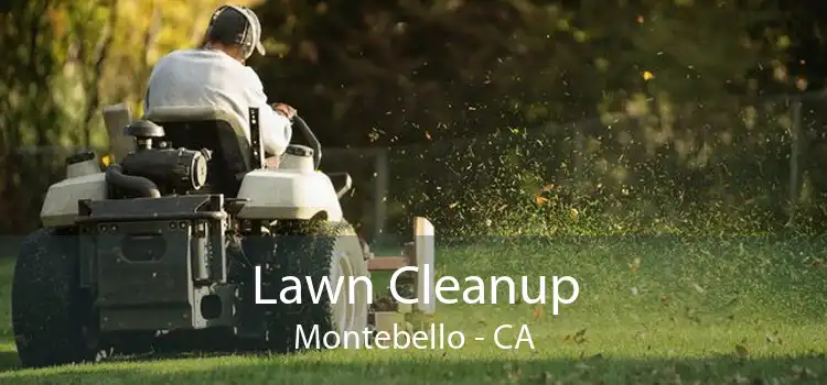 Lawn Cleanup Montebello - CA