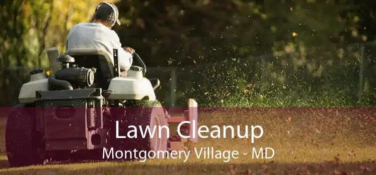Lawn Cleanup Montgomery Village - MD