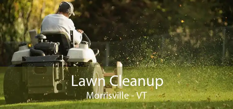Lawn Cleanup Morrisville - VT