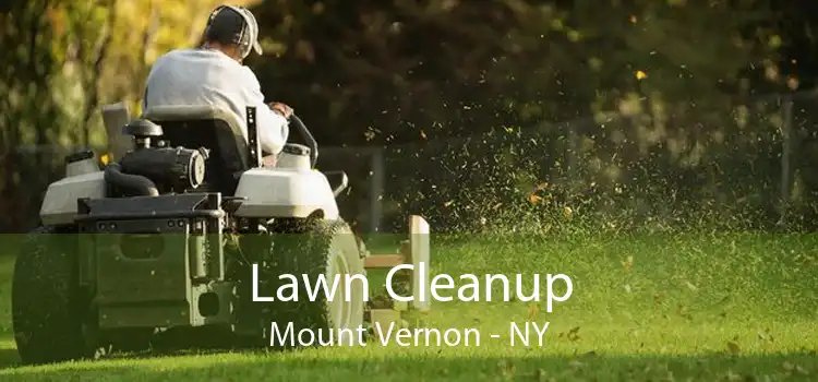 Lawn Cleanup Mount Vernon - NY