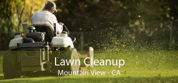 Lawn Cleanup Mountain View - CA