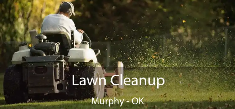  Lawn Cleanup Murphy - OK