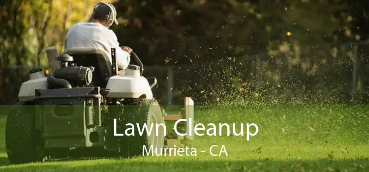 Lawn Cleanup Murrieta - CA