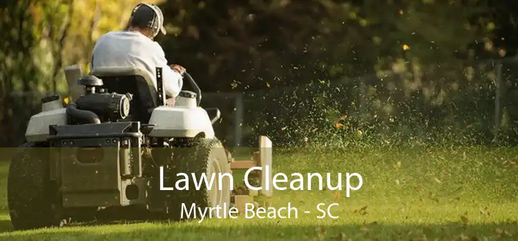 Lawn Cleanup Myrtle Beach - SC