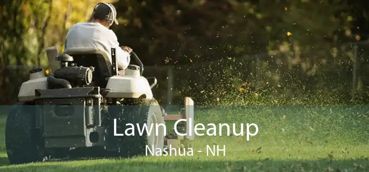 Lawn Cleanup Nashua - NH