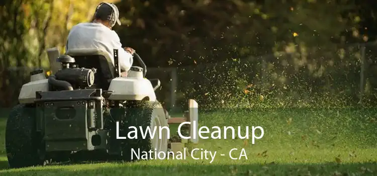 Lawn Cleanup National City - CA