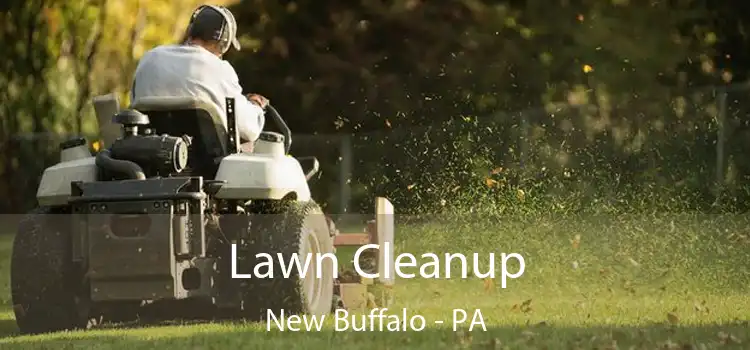  Lawn Cleanup New Buffalo - PA