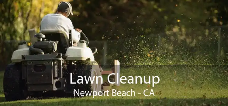 Lawn Cleanup Newport Beach - CA