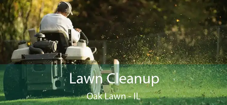 Lawn Cleanup Oak Lawn - IL