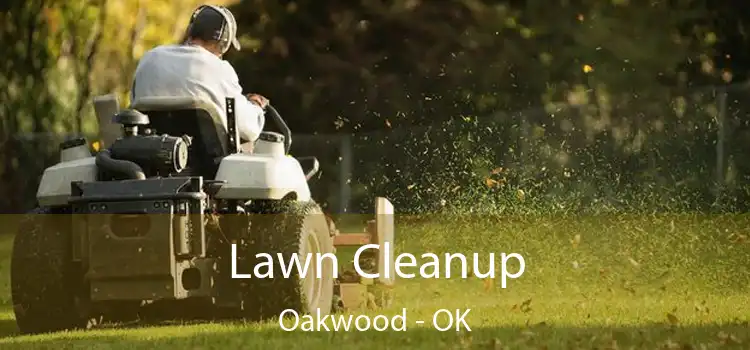 Lawn Cleanup Oakwood - OK