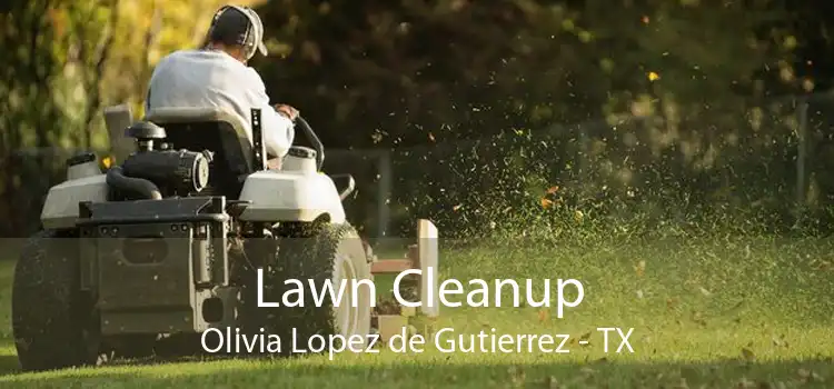 Lawn Cleanup Olivia Lopez de Gutierrez - TX