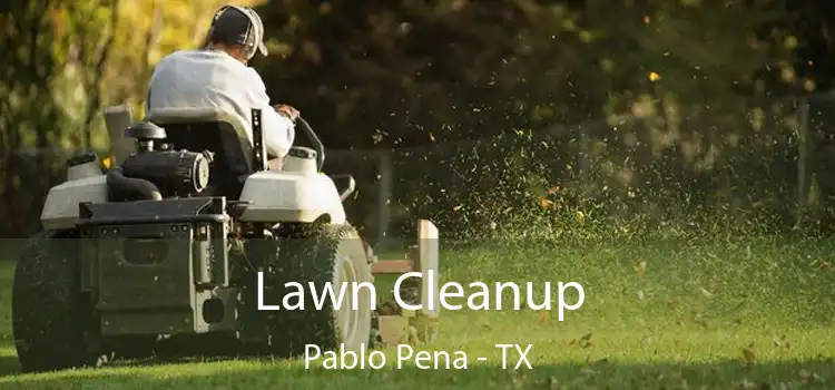  Lawn Cleanup Pablo Pena - TX