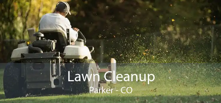 Lawn Cleanup Parker - CO