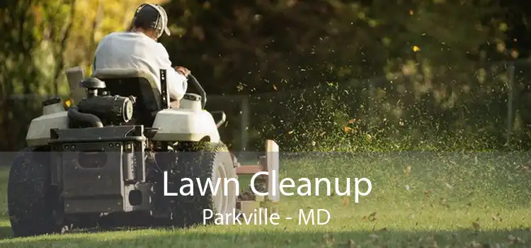 Lawn Cleanup Parkville - MD