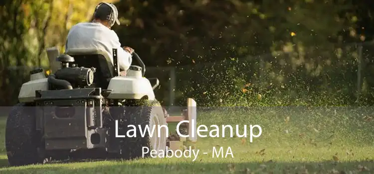 Lawn Cleanup Peabody - MA