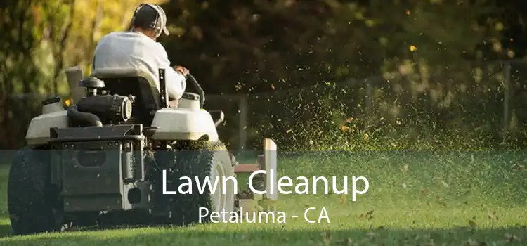 Lawn Cleanup Petaluma - CA