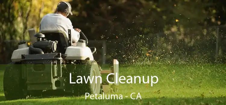 Lawn Cleanup Petaluma - CA