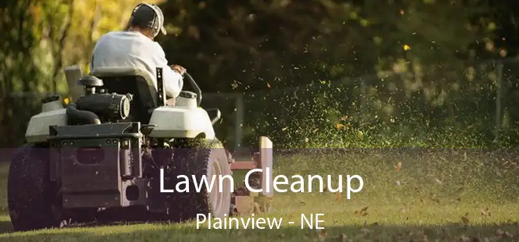 Lawn Cleanup Plainview - NE