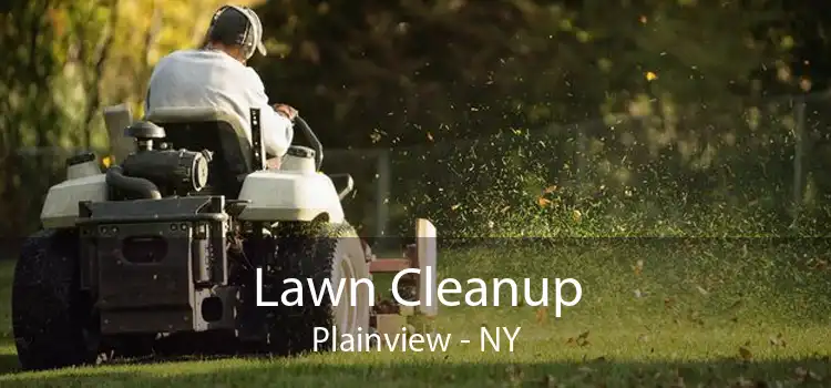 Lawn Cleanup Plainview - NY