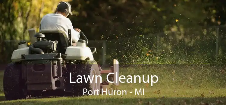 Lawn Cleanup Port Huron - MI
