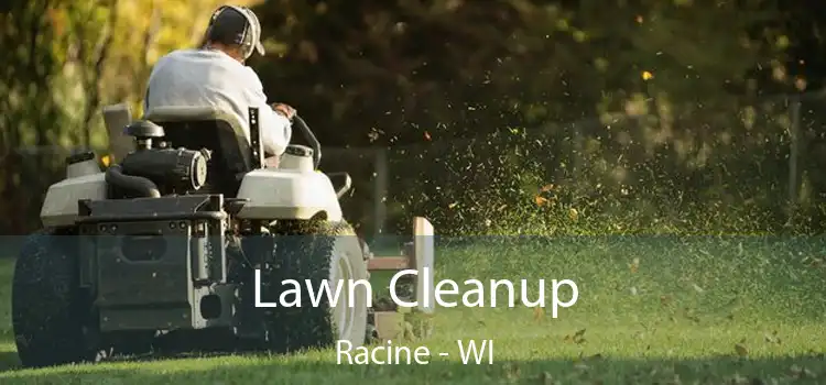 Lawn Cleanup Racine - WI