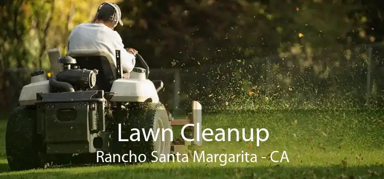Lawn Cleanup Rancho Santa Margarita - CA