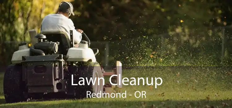 Lawn Cleanup Redmond - OR