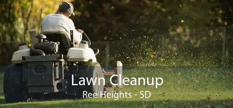 Lawn Cleanup Ree Heights - SD