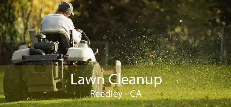 Lawn Cleanup Reedley - CA