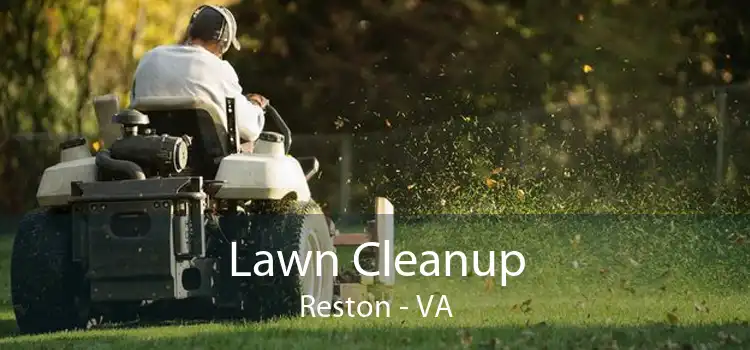Lawn Cleanup Reston - VA